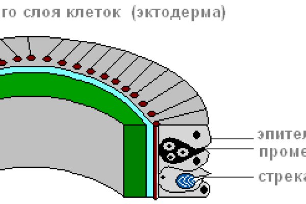 Как пополнять кракен тор