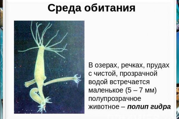 Кракен krakens13 at