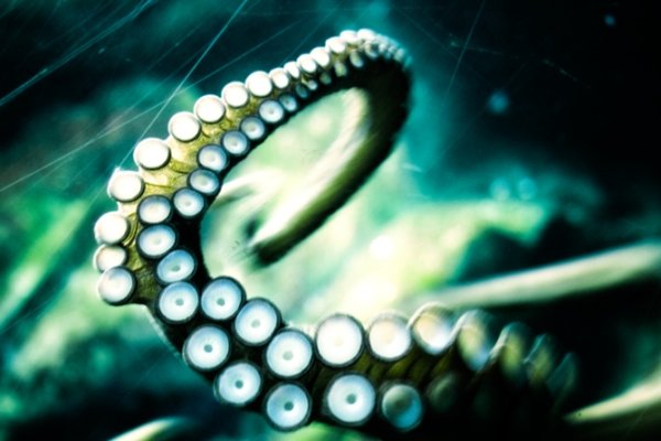 Kraken зеркало kraken dark link