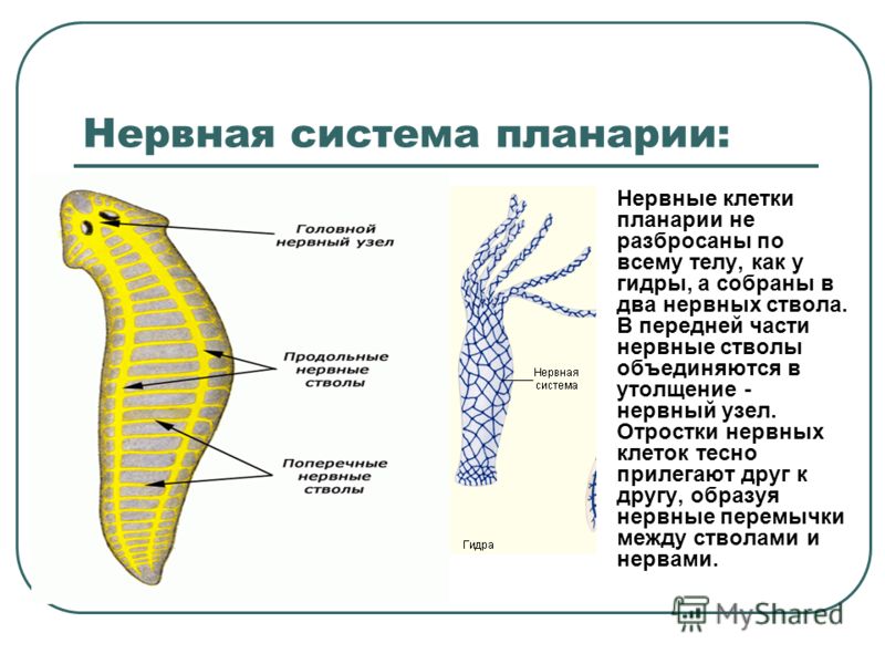 Кракен ссылка 2 веб