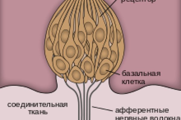 Кракен маркетплейс ссылка