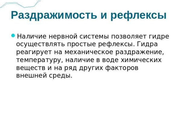 Зайти кракен через тор