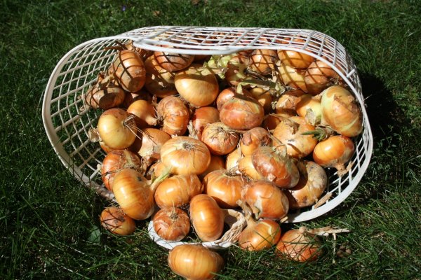 Ссылка на кракен площадка